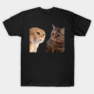 Two Cats Talking Meme, Cat Meme, Funny Cat T-Shirt